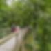 Wandern in Mecklenburg Vorpommern.jpeg