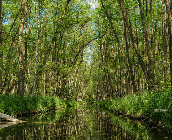 Kanufahrt Schwaanhavel