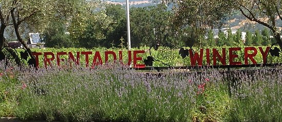 Trentadue Winery Sign
