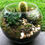 Thumbnail: Succulent Terrarium Planter