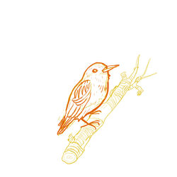 branchbird