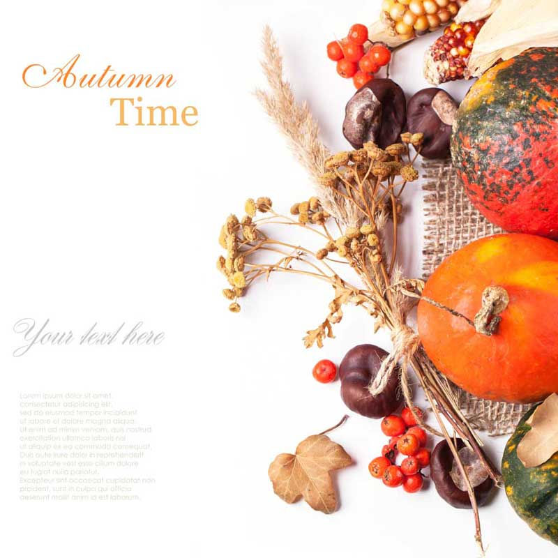 Harvest Festival 2 Bespoke Backdrop
