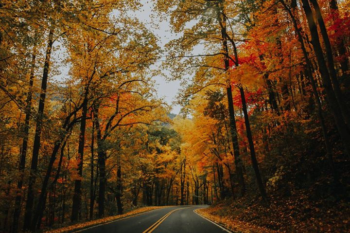 The Smoky Mountains