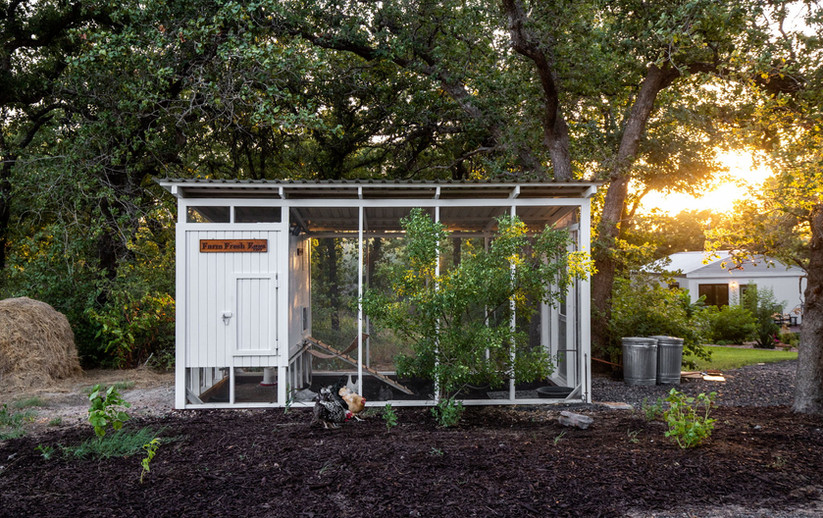 The Woodland Oasis Seguin Airbnb I Texas Getaway