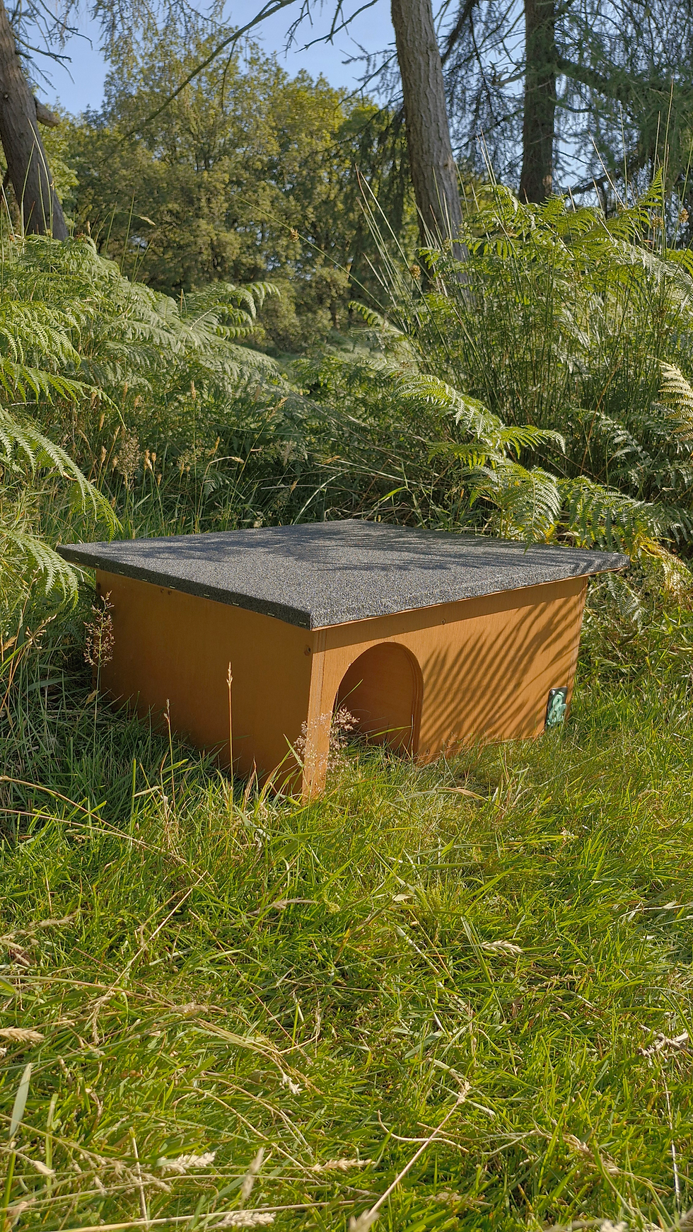 Thumbnail: Hedgehog Box