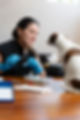 MJ_VET_S1-7409315.jpeg
