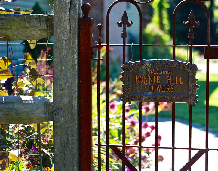 Home Bonnie Hill Farm