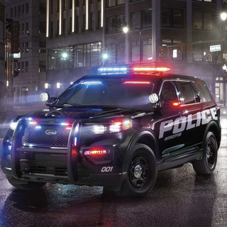 police.jpeg
