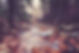 About Banner.jpg