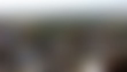 Multilingual websites are just good marketing