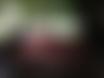 フランス情報誌でボルドー特集♪