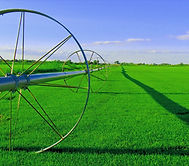 Farm Field_edited.jpg