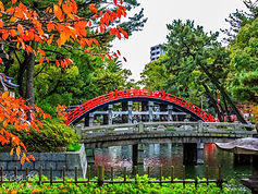 Drum-bridge-from-Sumiyoshi-Grand-Shrine-or-Sumiyoshi-Taisha-in-Osaka-City-Kansai-Osaka-Jap