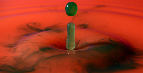 52bc615b-98a4-460a-9656-466a269fb79b_edi