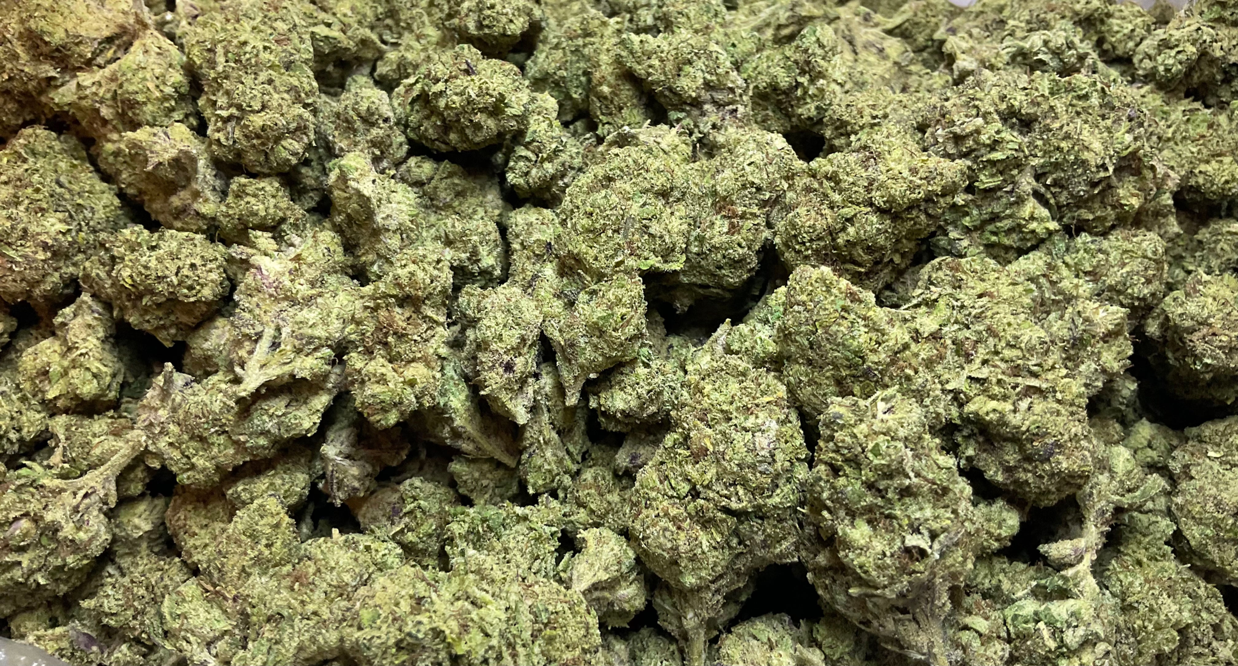 TROPAYA - RESERVE - $50 oz