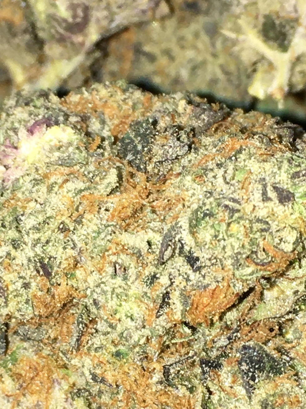 LARRY BIRD KUSH -Reserve- $50 oz