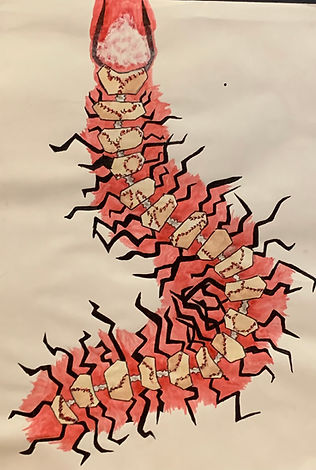 Water colour and ink painting of a centipede.