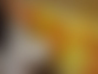 PINTAMOS CON RODILLOS