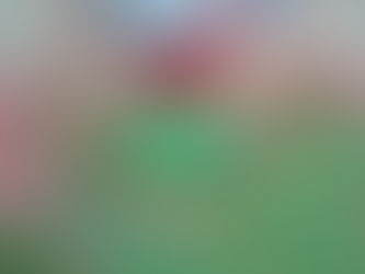 PINTAMOS CARTONES DE ROLLO DE PAPEL