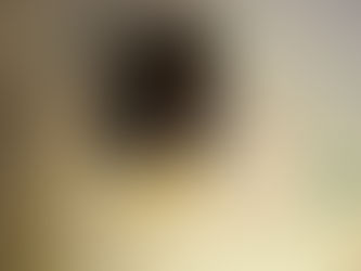 INSTALACIÓN PAN RALLADO, FLANERAS Y PLUMAS