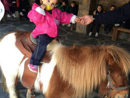 NOS VAMOS A LA GRANJA