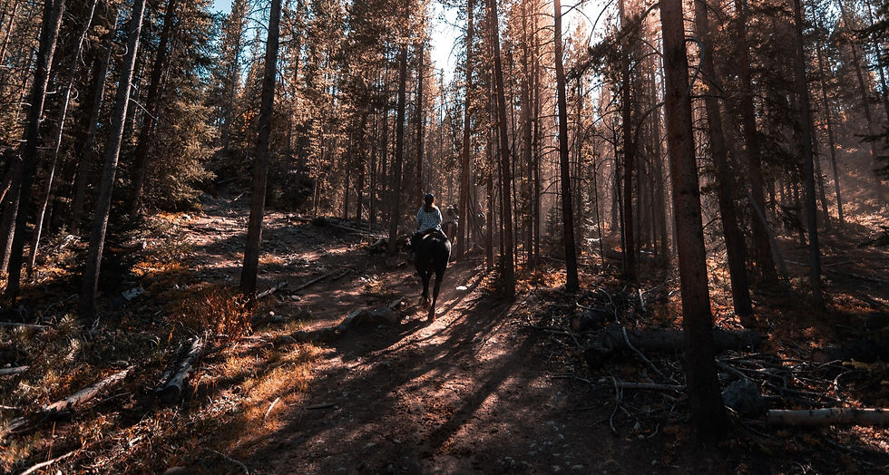 colin-lloyd-WOCV8eGMrhM-unsplash_edited.jpg