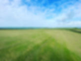 280573085_295813809417170_7410055869884067893_n_edited.jpg
