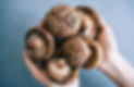 Shiitake-Mushroom-Substitute-3-scaled.jpg
