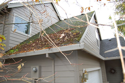 Roof Debris Removal