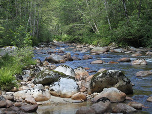 Tri-City Nature Challenge