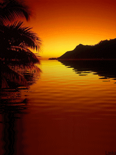 Animation-Coucher-Soleil.gif