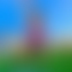 The Return of EDC - by Sarah Kiburz