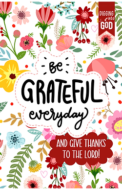 6x9 products for website images (5).png