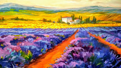 Lavender Fields