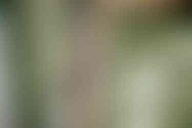 golf ball on the course