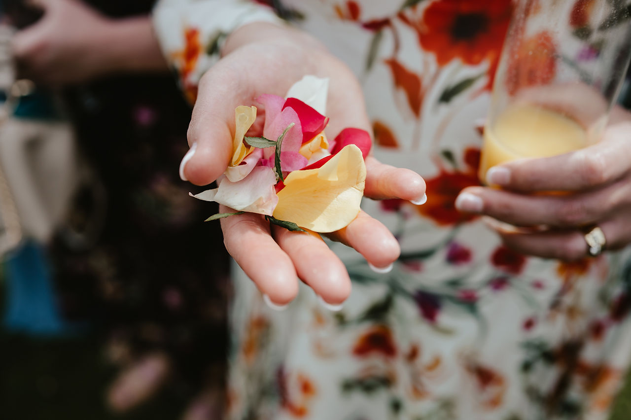 ajfeather-photography-chaucer-barn-norfolk-wedding-day-bride-groom-garden-confetti-in-hand