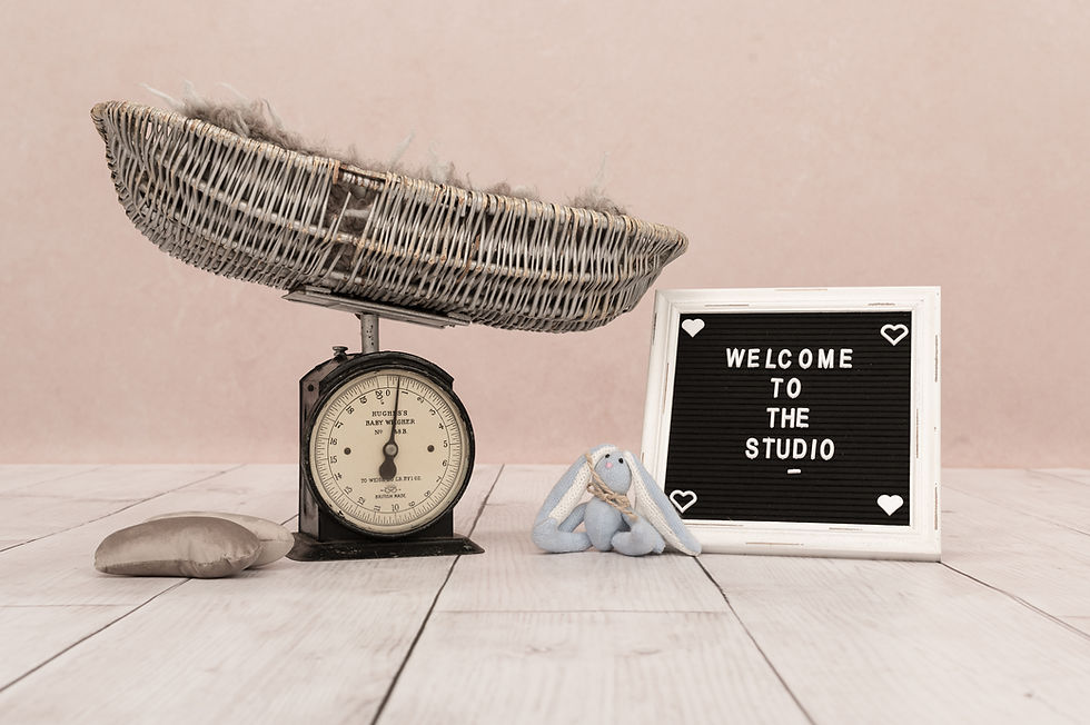 aj-feather-photogrpahy-newborn-baby-photographer-swaffham-studio-bunny-teddy-sign-posing-cushions