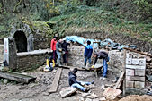 IMG_3831.jpg