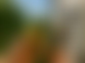 Why Summer Is the Ideal Time for a Full Home Ventilation Check-Up