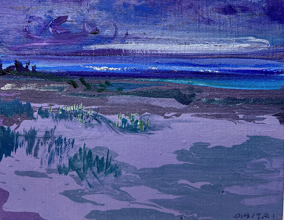 Dmitri Wright Maine Opus II Series 'two' 11x14 Oil on Linen 2025