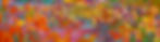 IMG_0790.jpeg