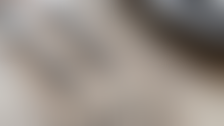 建構現代化餐飲服務政策體系:從都市外燴到婚禮產業的永續發展策略