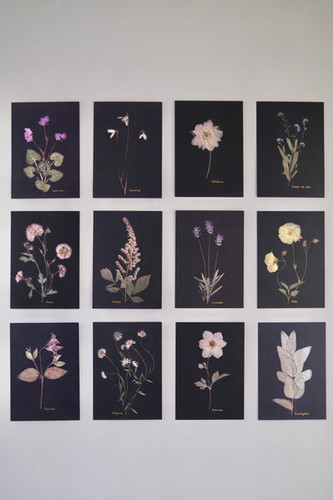 Year In Bloom - Full Set Of 12 | By Amber Hopkins