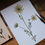 Thumbnail: Queen Anne's Lace