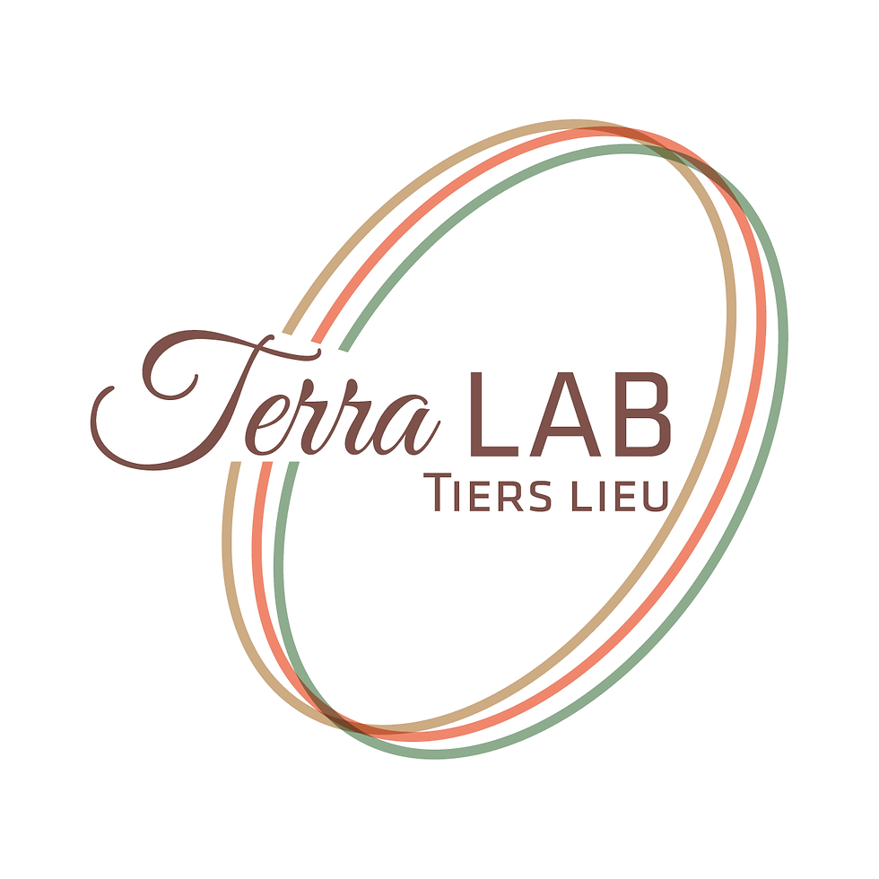 terralab-57d70e5ee04e4d8cabdf926d4044e888