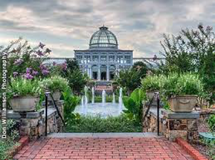 Lewis Ginter.png