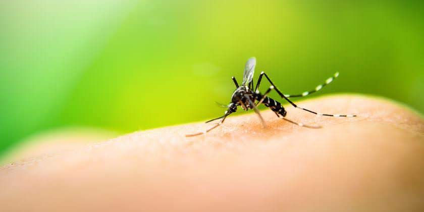 #Roldan: de 16 casos sospechosos de Dengue, 9 fueron confirmados.