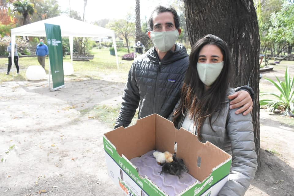#Funes: Entregaron 900 pollitos para incentivar la producción agroecológica