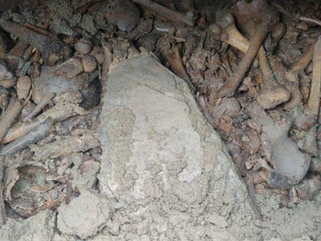 Fotos: encontró restos humanos en su jardín mientras hacía reformas en su casa