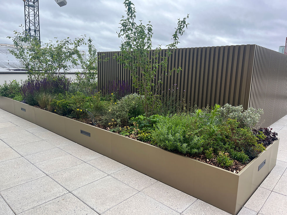 Rooftop garden terrace with lush planters and greenery